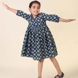 Fabindia Kids Blue Printed Dress-picture-29