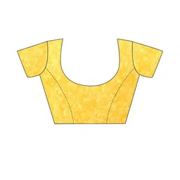 Leelavati Floral Pure Chiffon Designer Saree image 4