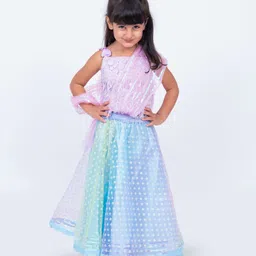 Elaisha Sleeveless Floral Lace Embellished Top With Draped Dupatta & Motif Designed Net Lehenga Set - Mauve image 5