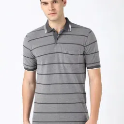 Peter England Grey Cotton Regular Fit Striped Polo T-Shirt-picture-17
