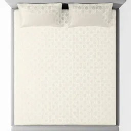 Sansaar Echo Beige Cotton Geometric 210 TC Flat King Bedsheet with 2 Pillow Covers image 3