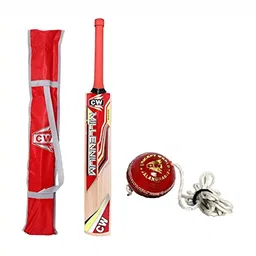 CW Kashmir Willow Cricket Bat With Hanging Ball-picture-30
