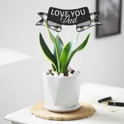 Dad of Steel-image-0