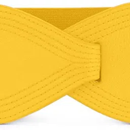 redhorns Women Casual, Evening, Formal, Party Yellow Fabric Belt-picture-31
