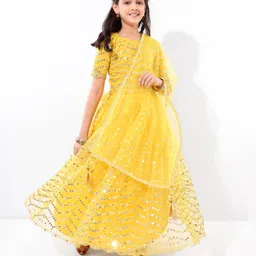 Earthy Touch Woven Half Sleeves  Mirror Work Lehenga Choli Set with Dupatta - Yellow-picture-23