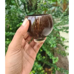 Thenga Coconut Eco-Friendly Wine Glass (Set of 2) image 2