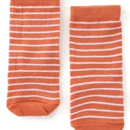 Cute Walk by Babyhug Anti Bacterial Ankle Length Socks Dino Design Pack Of 3 - Multicolour image 4