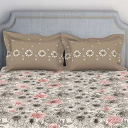 Spaces Atrium Grey & Pink 100% Cotton 144 TC Fitted King Bedsheet with 2 Pillow Covers image 4