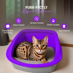 petoska Lavender Fragrance Pack of 2 Pet Litter Tray Refill image 3