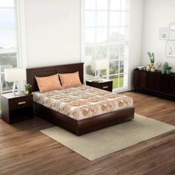 Spaces Peach Cotton 144 TC Queen Fitted Bedsheet With 2 Pillow Covers-picture-45