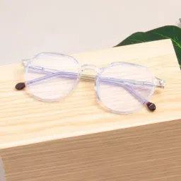 Ted Smith Transparent Round Unisex Eye Frames-image-20