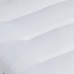 Spaces white polyester aurum slim pillow image 5