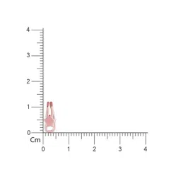 GIVA 92.5 Sterling Silver Polaris Earrings for Women image 3