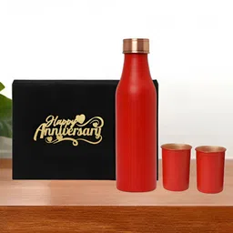 INTERNATIONAL GIFT Red Set of 3 Copper Solid Water Bottle-image-89