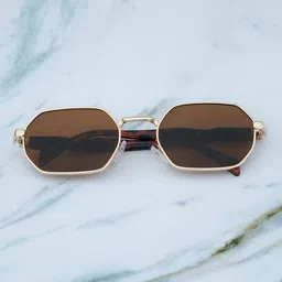 DukieKooky Unisex Brown Lens & Gold-Toned Rectangle Sunglasses with-picture-42
