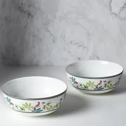 india circus by krsnaa mehta India Circus By Krshna Mehta Multi Bone China Printed Dinner Set image 5