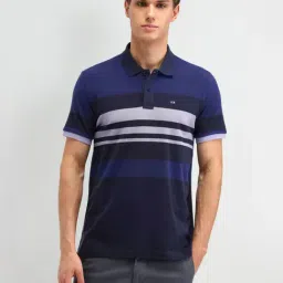 Arrow Sport Blue Cotton Regular Fit Striped Polo T-Shirt-picture-30