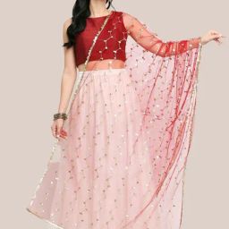Dupatta Bazaar Maroon Embellished Dupatta-picture-24