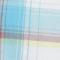 Pepe Jeans Aqua Blue Cotton Regular Fit Checks Shirt image 5