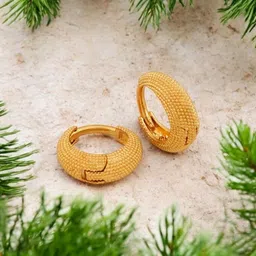 SHREE KRISHNA SHOPPING Unisex Gold-Plated Brass Earrings-picture-24