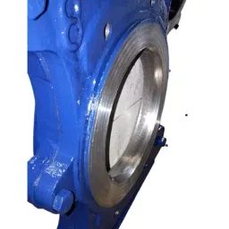 V V 3 Inch, 80 mm Cast Iron Pulp Valve V V-1022-picture-41