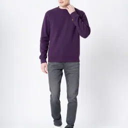Red Tape Purple Regular Fit Solid Sweatshirt image 5