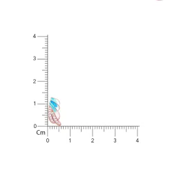 GIVA 925 Silver Rose Gold Wing Flap Stud Earrings for Women image 5