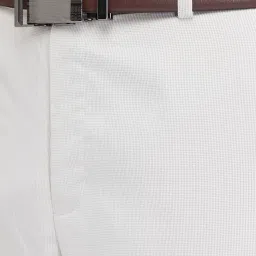 Park Avenue Beige Regular Fit Self Pattern Trousers image 5