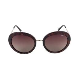 INVU B1908B Brown Polarized Round Sunglasses-picture-38