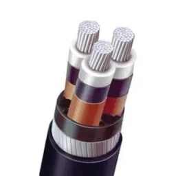 KEI 25 Sq.mm 3 Core Aluminium Conductor Armoured LT Power Cable A2XWY/A2XFY image 1