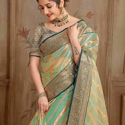 Rare Bello Striped Design Tissue Saree image 3