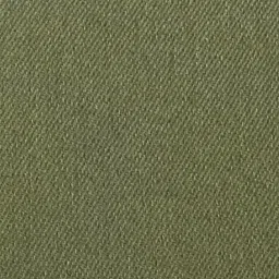 Pepe Jeans Olive Cotton Regular Fit Shirt image 5