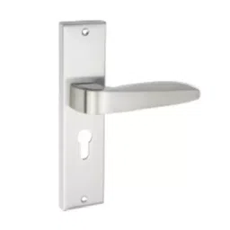 Tasa Mortise Handle Stainless Steel Finish 203 mm (8 Inch), MH-DAKOTA-picture-13