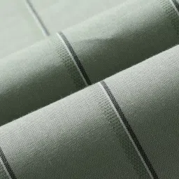 Arrow Green Cotton Slim Fit Striped Shirt image 5