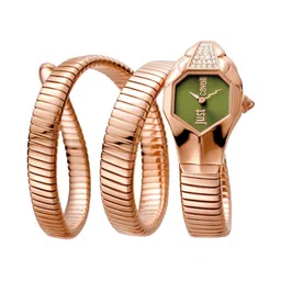 Just Cavalli Women Dial & Stainless Steel Straps Analogue Watch JC1L022M0165-picture-43