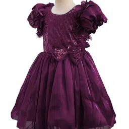Mark & Mia Woven Half Sleeves Party Dress With Sequin Detailing & Bow Applique - Wine image 2