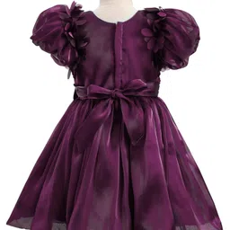 Mark & Mia Woven Half Sleeves Party Dress With Sequin Detailing & Bow Applique - Wine image 3