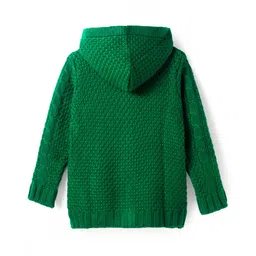 Pine Kids Knitted Full Sleeves Hooded Front Open Sweater with Cable Knit Design - Green image 3