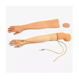 A-ONE SCIENCE Skin Color PVC Multifunctional Adult IV Training Arm Model AOSBM225 image 3