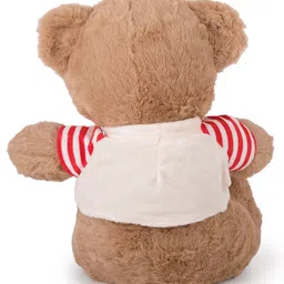 Dukiekooky Brown TeddyBear soft toys - Height 30 cm image 5