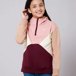 ALAN JONES Cotton Blend Knit Full Sleeves Colour Blocked Light Winter Hooded Sweatshirt - Multi Colour-picture-14