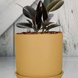 LASAKI Orine Brown Ceramic Handmade Planter With Plate image 2