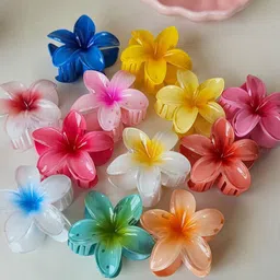 Elecsera Unisex Set of 2 Claw Clip-image-70