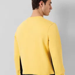 ColorPlus Men Sweatshirt image 2