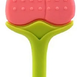 dtcreation Baby Silicone Fruit Shape Teether & Feeder For Baby 6-12 Months Feeder image 3