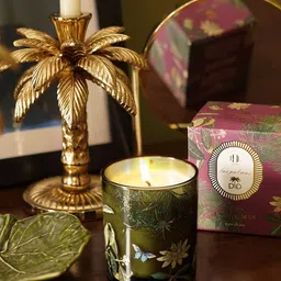 Pure Home and Living Green 1 pieces Jar Candle-picture-31