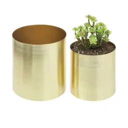 Inshreys Set of 2 Gold Toned Iron Planters-picture-23