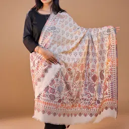 SWI Stylish Women Ethnic Motifs Woven Design Shawl-picture-41
