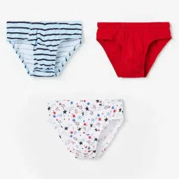 Fame Forever by Lifestyle Kids Multicolor Cotton Printed Brief-picture-21