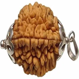 RAVIOUR LIFESTYLE Rudraksha Pendant-image-18